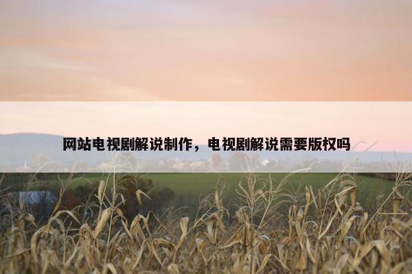 网站电视剧解说制作，电视剧解说需要版权吗