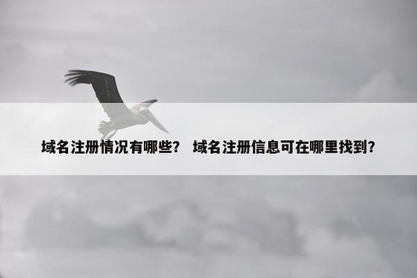 域名注册情况有哪些？ 域名注册信息可在哪里找到？