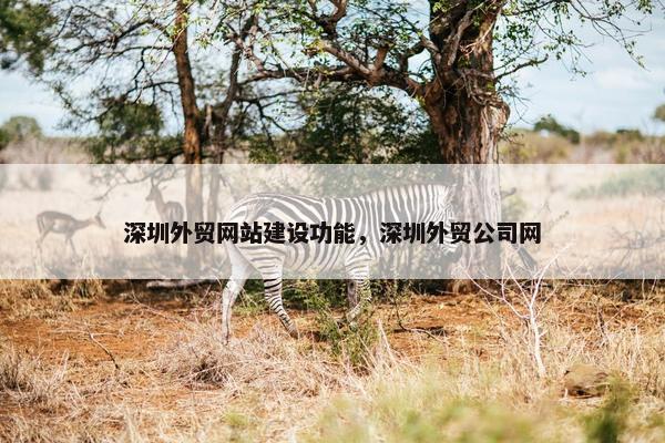 深圳外贸网站建设功能，深圳外贸公司网