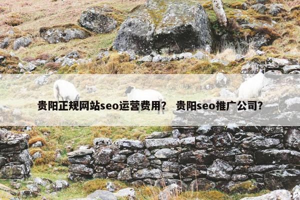 贵阳正规网站seo运营费用？ 贵阳seo推广公司？