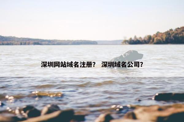 深圳网站域名注册？ 深圳域名公司？