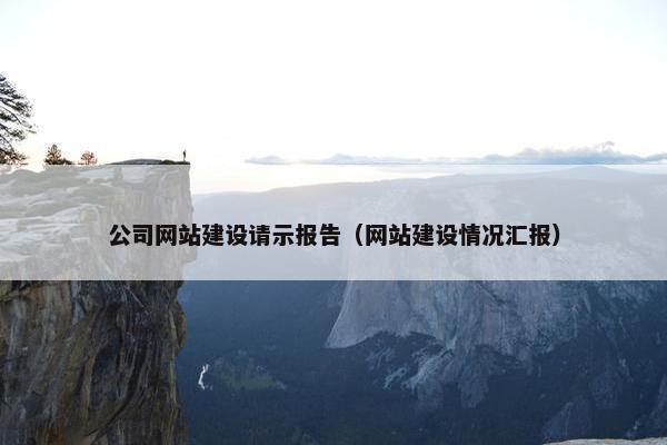 公司网站建设请示报告（网站建设情况汇报）