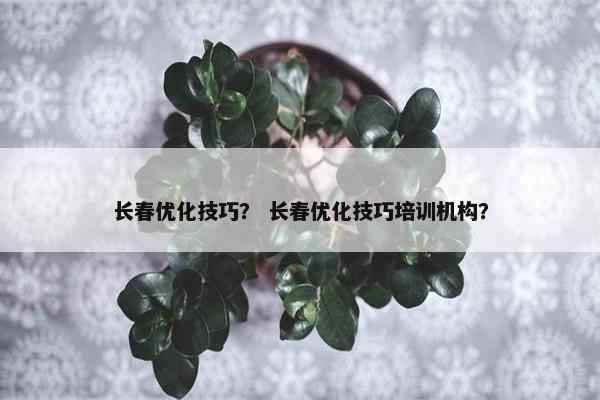 长春优化技巧？ 长春优化技巧培训机构？
