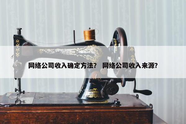 网络公司收入确定方法？ 网络公司收入来源？