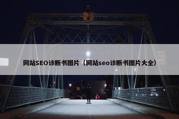 网站SEO诊断书图片（网站seo诊断书图片大全）