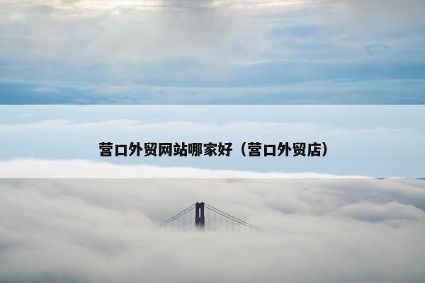 营口外贸网站哪家好（营口外贸店）