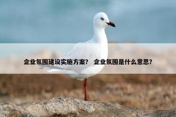 企业氛围建设实施方案？ 企业氛围是什么意思？
