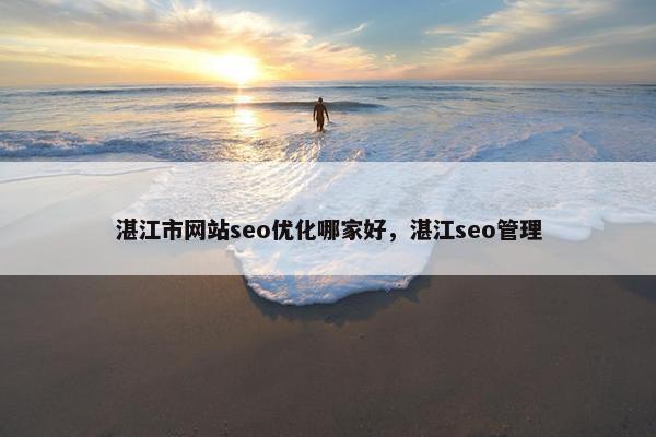 湛江市网站seo优化哪家好，湛江seo管理