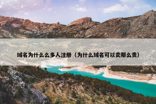 域名为什么么多人注册（为什么域名可以卖那么贵）