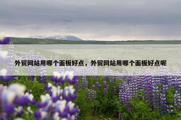 外贸网站用哪个面板好点，外贸网站用哪个面板好点呢