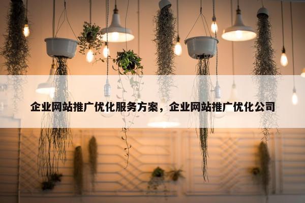 企业网站推广优化服务方案，企业网站推广优化公司