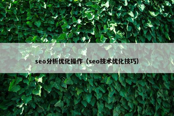 seo分析优化操作（seo技术优化技巧）