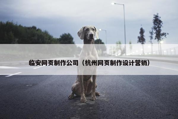 临安网页制作公司（杭州网页制作设计营销）