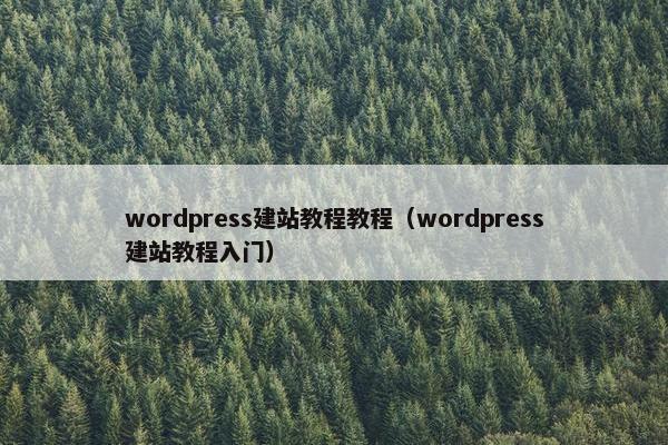wordpress建站教程教程（wordpress建站教程入门）