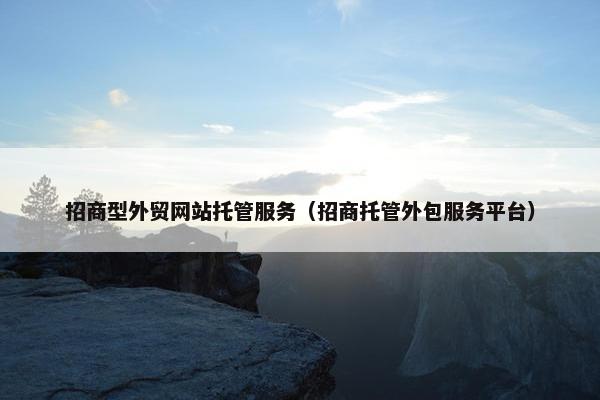 招商型外贸网站托管服务（招商托管外包服务平台）