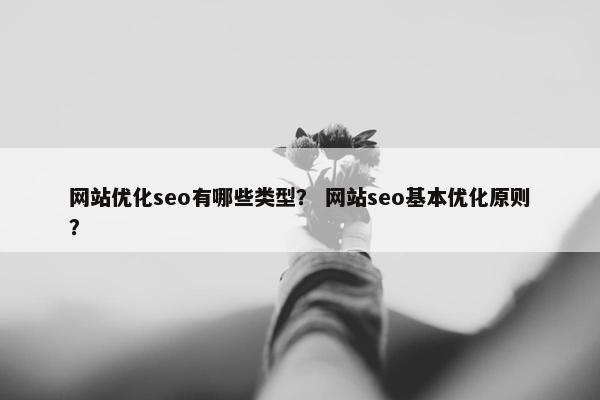 网站优化seo有哪些类型？ 网站seo基本优化原则？