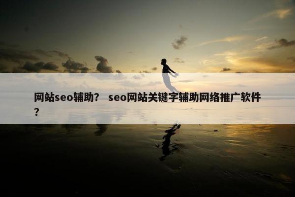 网站seo辅助？ seo网站关键字辅助网络推广软件？