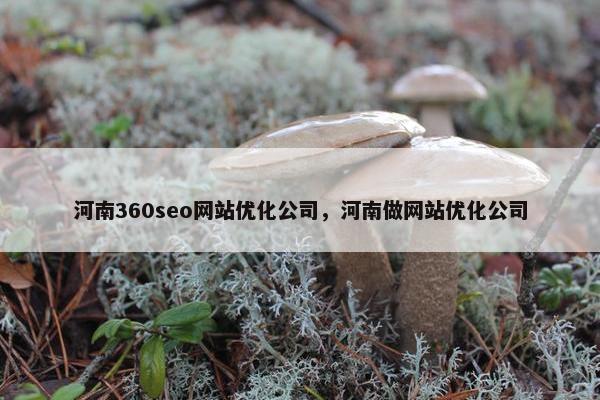 河南360seo网站优化公司，河南做网站优化公司