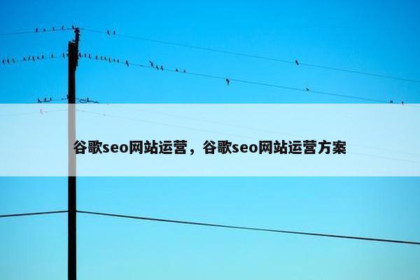 谷歌seo网站运营，谷歌seo网站运营方案