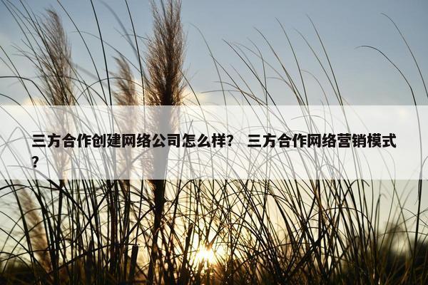 三方合作创建网络公司怎么样？ 三方合作网络营销模式？