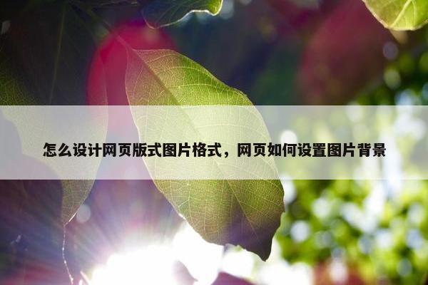 怎么设计网页版式图片格式，网页如何设置图片背景