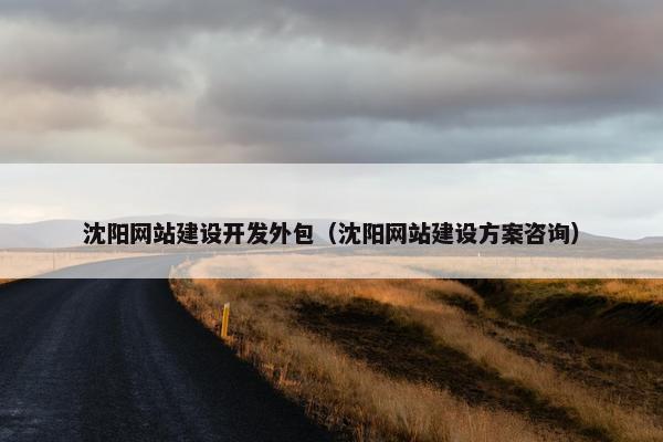 沈阳网站建设开发外包（沈阳网站建设方案咨询）