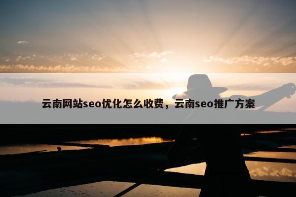 云南网站seo优化怎么收费，云南seo推广方案