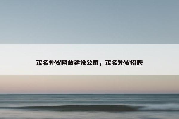 茂名外贸网站建设公司，茂名外贸招聘