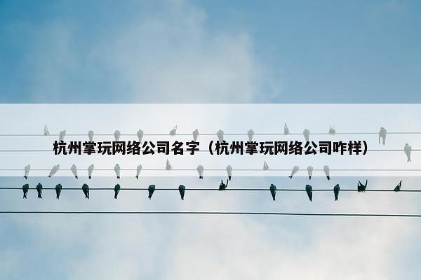 杭州掌玩网络公司名字（杭州掌玩网络公司咋样）