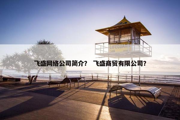 飞盛网络公司简介？ 飞盛商贸有限公司？
