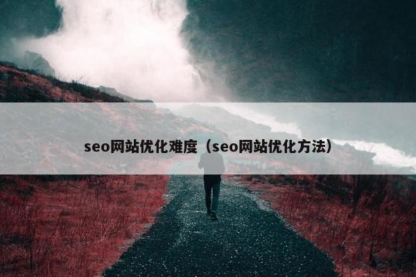 seo网站优化难度（seo网站优化方法）