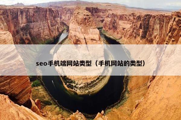 seo手机端网站类型（手机网站的类型）