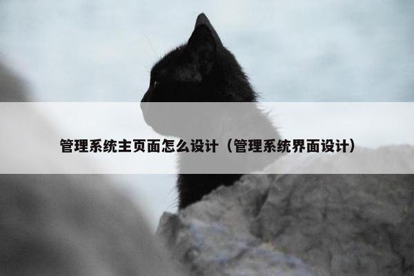 管理系统主页面怎么设计（管理系统界面设计）