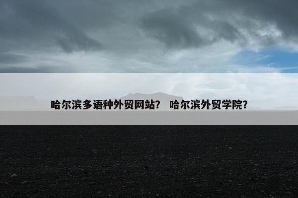 哈尔滨多语种外贸网站？ 哈尔滨外贸学院？