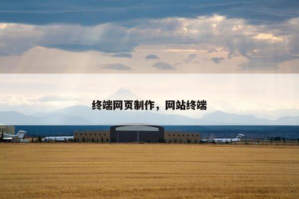 终端网页制作，网站终端