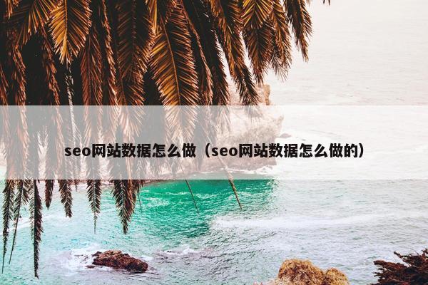 seo网站数据怎么做(seo网站数据怎么做的)
