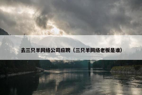 去三只羊网络公司应聘(三只羊网络老板是谁)
