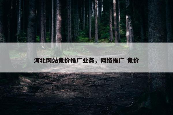 河北网站竞价推广业务，网络推广 竞价