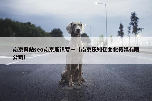 南京网站seo南京乐识专一（南京乐知亿文化传媒有限公司）