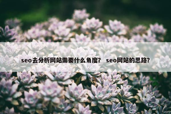 seo去分析网站需要什么角度？ seo网站的思路？