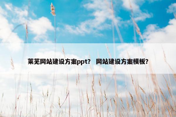 莱芜网站建设方案ppt？ 网站建设方案模板？