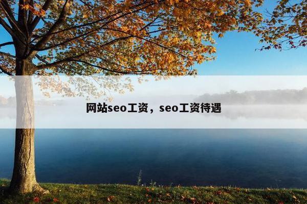 网站seo工资，seo工资待遇