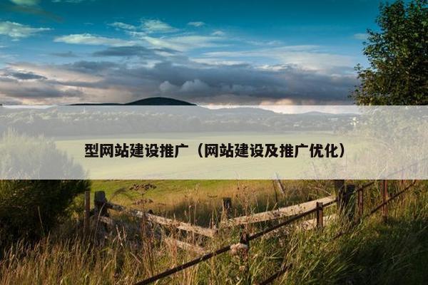 型网站建设推广（网站建设及推广优化）