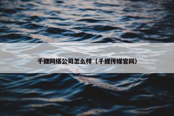 千鲤网络公司怎么样（千鲤传媒官网）