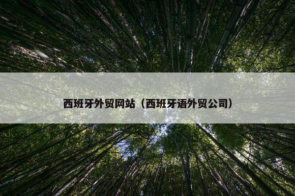 西班牙外贸网站（西班牙语外贸公司）