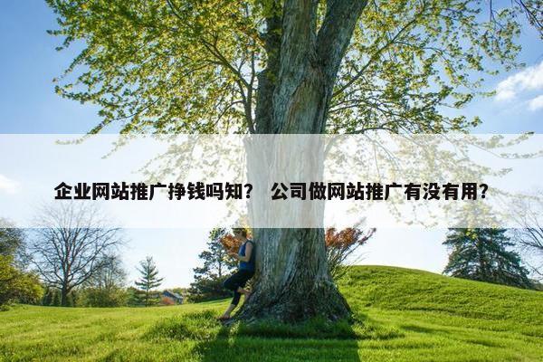 企业网站推广挣钱吗知？ 公司做网站推广有没有用？